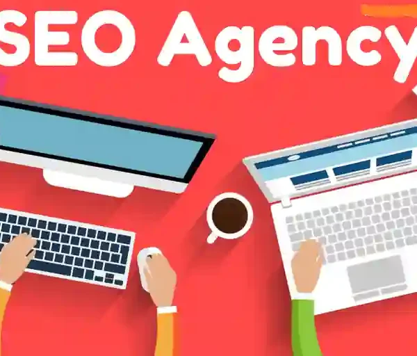 SEO Agency